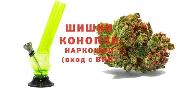 индика Снежногорск